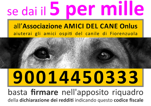 Dona il cinque per mille ad Amici del Cane