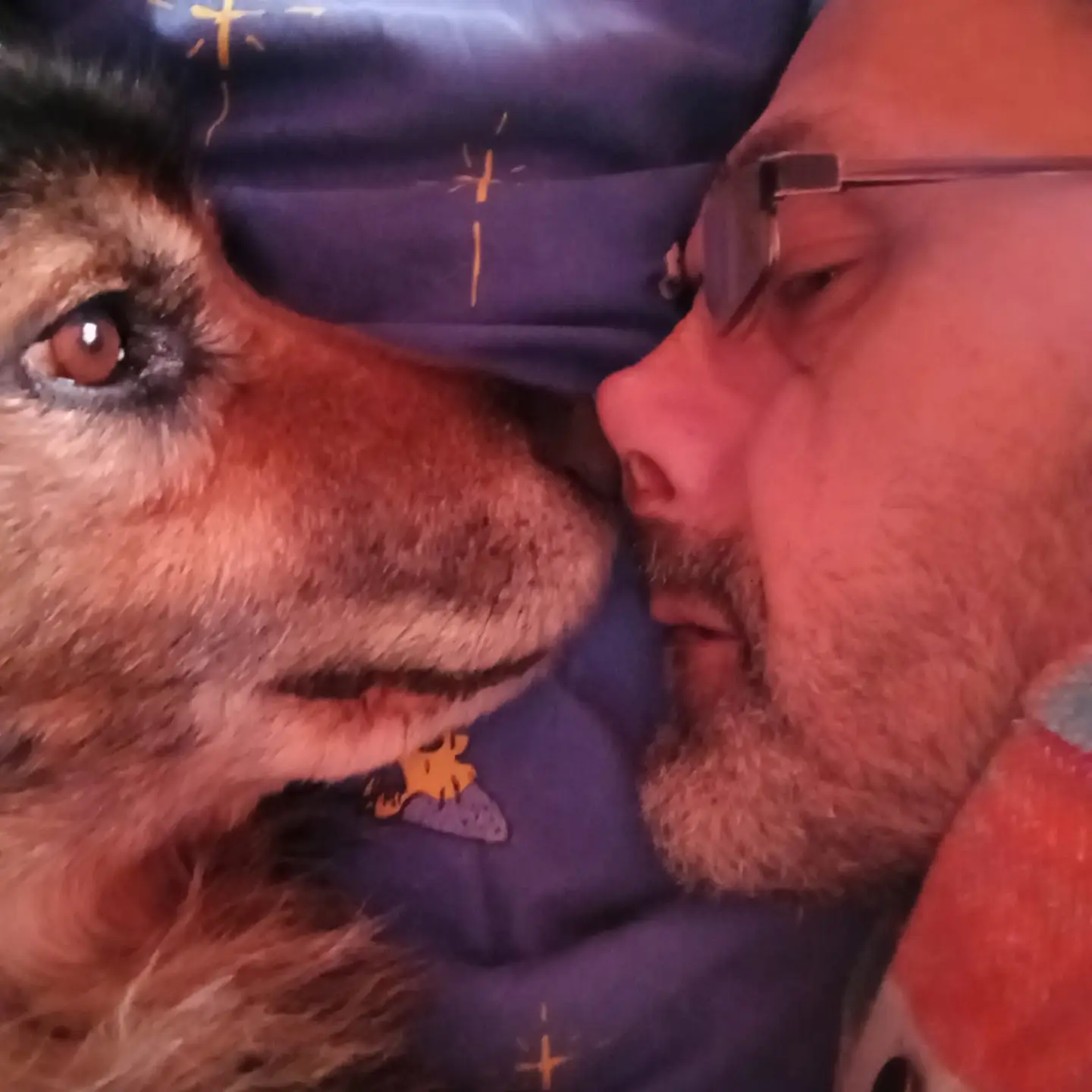 Un momento affettuoso tra un cane adottato e una persona della sua famiglia